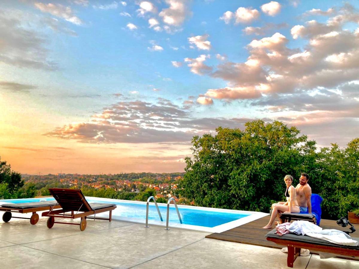 Todor Boutique House Villa Sremska Kamenica Exteriör bild