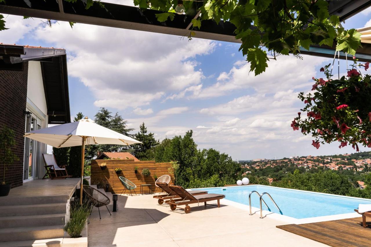 Todor Boutique House Villa Sremska Kamenica Exteriör bild